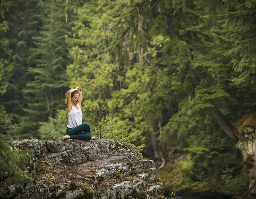 Yoga-Shala-Embrun-Shala-arbre